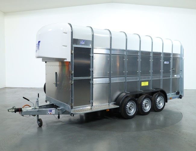 2025 Ifor Williams TA510 16x7 (497x178x212cm) Dubbeldeks Schapentrailer/ Veetrailer VT761 | Aanhangwagen | Veetrailer