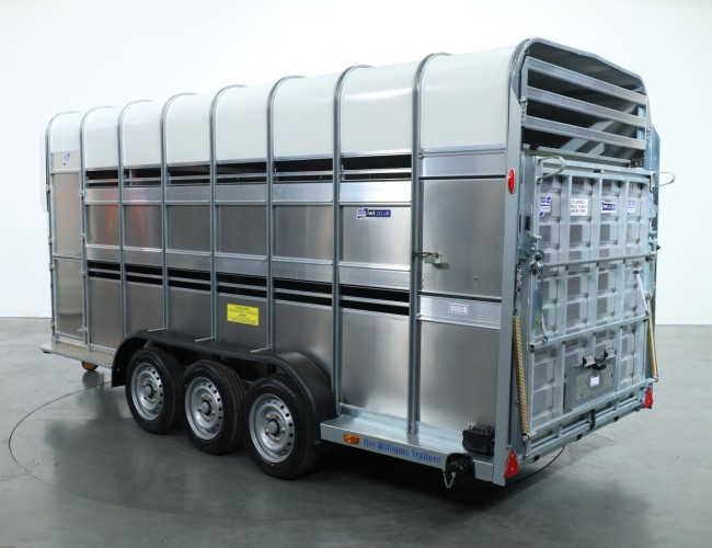 2025 Ifor Williams TA510 16x7 (497x178x212cm) Dubbeldeks Schapentrailer/ Veetrailer VT761 | Aanhangwagen | Veetrailer