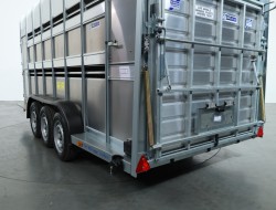 2025 Ifor Williams TA510 16x7 (497x178x212cm) Dubbeldeks Schapentrailer/ Veetrailer VT761 | Aanhangwagen | Veetrailer