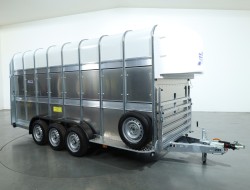 2025 Ifor Williams TA510 16x7 (497x178x212cm) Dubbeldeks Schapentrailer/ Veetrailer VT761 | Aanhangwagen | Veetrailer