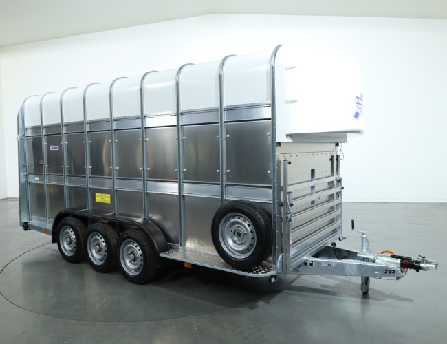 2025 Ifor Williams TA510 16x7 (497x178x212cm) Dubbeldeks Schapentrailer/ Veetrailer VT761 | Aanhangwagen | Veetrailer