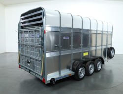 2025 Ifor Williams TA510 16x7 (497x178x212cm) Dubbeldeks Schapentrailer/ Veetrailer VT761 | Aanhangwagen | Veetrailer