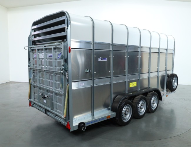 2025 Ifor Williams TA510 16x7 (497x178x212cm) Dubbeldeks Schapentrailer/ Veetrailer VT761 | Aanhangwagen | Veetrailer
