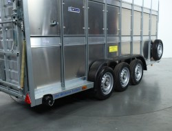 2025 Ifor Williams TA510 16x7 (497x178x212cm) Dubbeldeks Schapentrailer/ Veetrailer VT761 | Aanhangwagen | Veetrailer