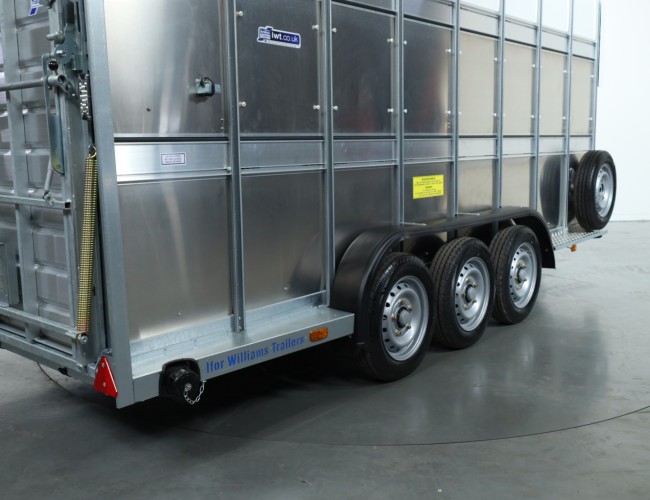 2025 Ifor Williams TA510 16x7 (497x178x212cm) Dubbeldeks Schapentrailer/ Veetrailer VT761 | Aanhangwagen | Veetrailer