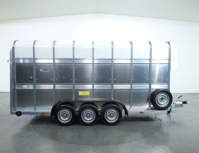 2025 Ifor Williams TA510 16x7 (497x178x212cm) Dubbeldeks Schapentrailer/ Veetrailer VT761 | Aanhangwagen | Veetrailer