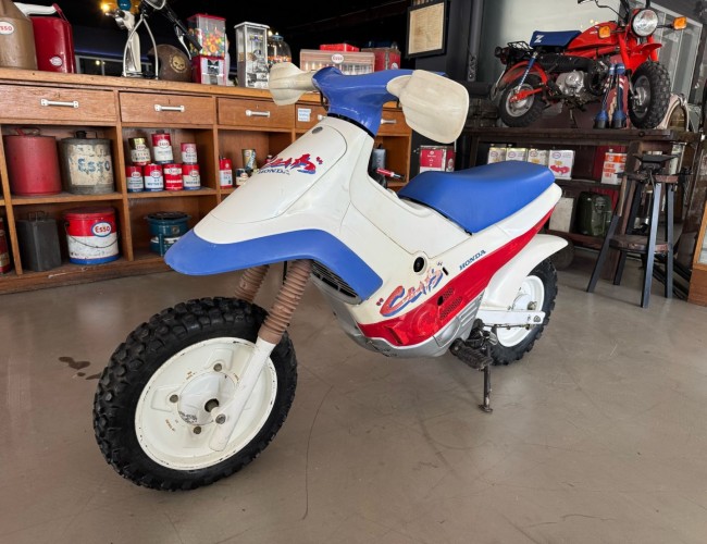 1986 Honda CUB EZ90 VK10076 | Transport | Bromfiets / Motor