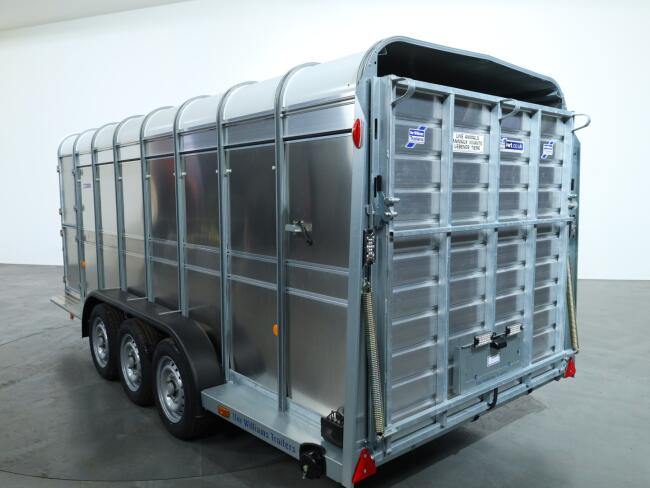 2026 Ifor Williams TA510 16x6 (497x178x182cm) Veetrailer 3-asser VT1020 | Aanhangwagen | Veetrailer